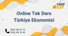 Online Tek Ders Türkiye Ekonomisi